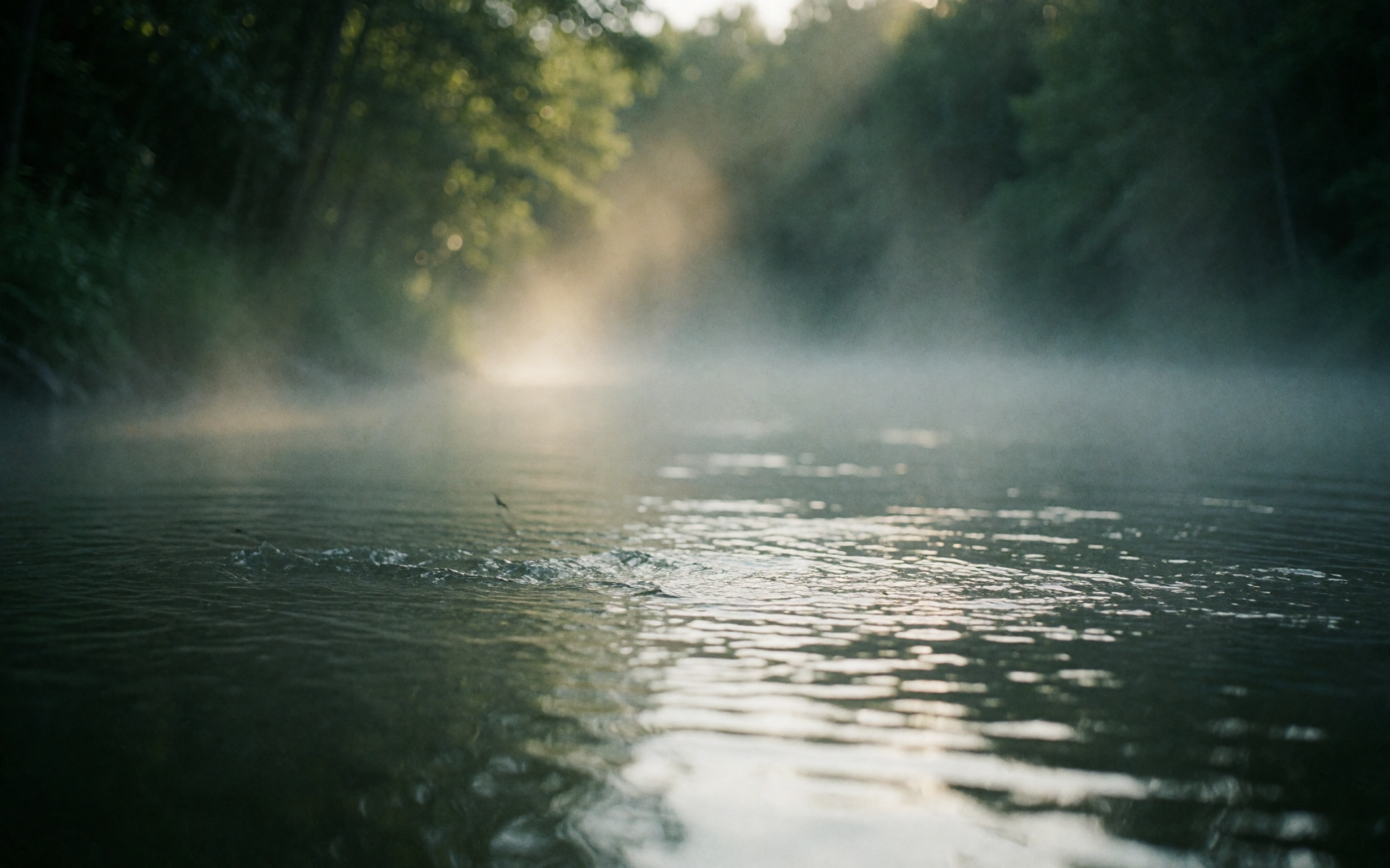 Mayflies rising over a river at dawn